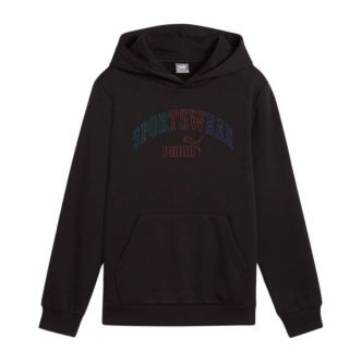 ESS+LOGO LAB HOODIE FZ