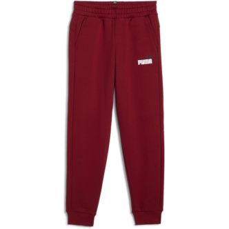 ESS 2 COLOR NO 1 LOGO SWEATPANTS FL B