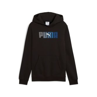 ESS LOGO LAB HOODIE FL B
