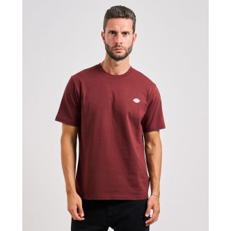 DICKIES MAPLEON SS TEE ANDORRA