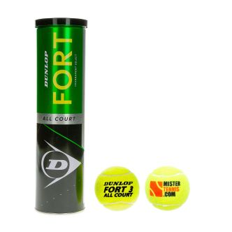 D TB FORT CLAY COURT 4TIN